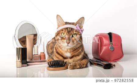 Adorable bengal cat with make-up cosmetics and a mirror Adorable bengal cat with make-up cosmetics and a mirror 97282558