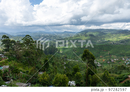 Sri Lanka Tea Plantation. Green Fields. Haputale, Sri Lanka. Sri Lanka Tea Plantation. Green Fields. Haputale, Sri Lanka. 97282597