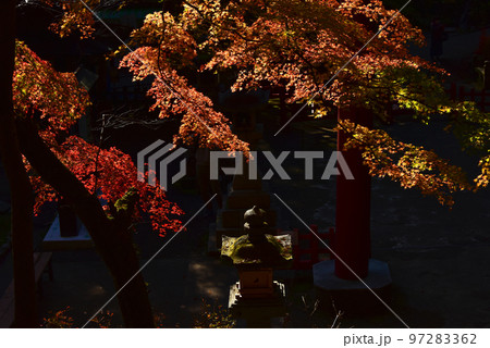 奈良の紅葉　談山神社の紅葉 97283362