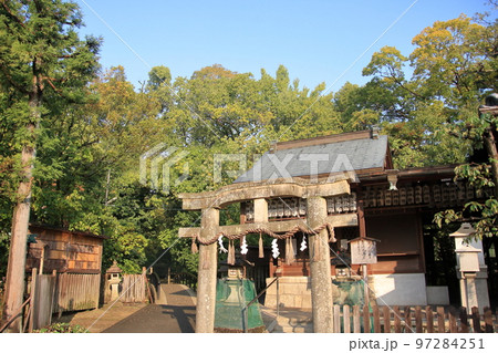 2020年11月秋の早朝の京都御所の紅葉 2020年11月秋の早朝の京都御所の紅葉 97284251