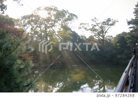 2020年11月秋の早朝の京都御所の紅葉 2020年11月秋の早朝の京都御所の紅葉 97284268