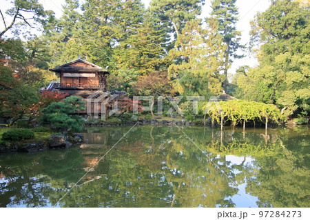 2020年11月秋の早朝の京都御所の紅葉 2020年11月秋の早朝の京都御所の紅葉 97284273