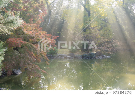2020年11月秋の早朝の京都御所の紅葉 2020年11月秋の早朝の京都御所の紅葉 97284276