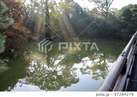 2020年11月秋の早朝の京都御所の紅葉 2020年11月秋の早朝の京都御所の紅葉 97284279