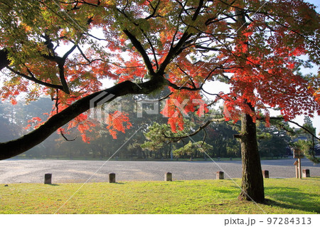 2020年11月秋の早朝の京都御所の紅葉 2020年11月秋の早朝の京都御所の紅葉 97284313