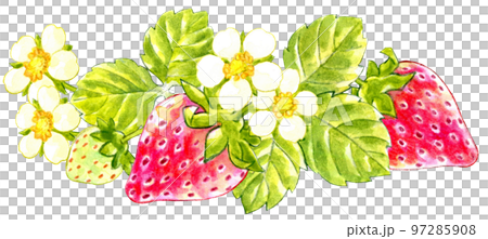 春の赤いイチゴの水彩画ワンポイント 97285908
