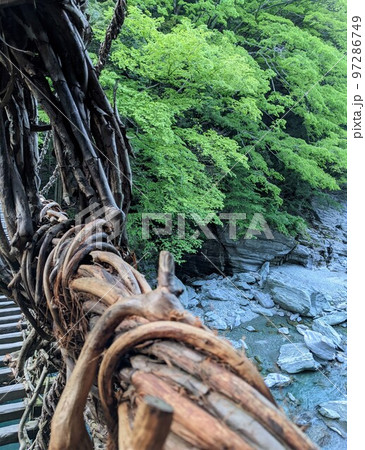 徳島県三好市の祖谷川にかかる祖谷のかずら橋から渓流を見下ろす 97286749