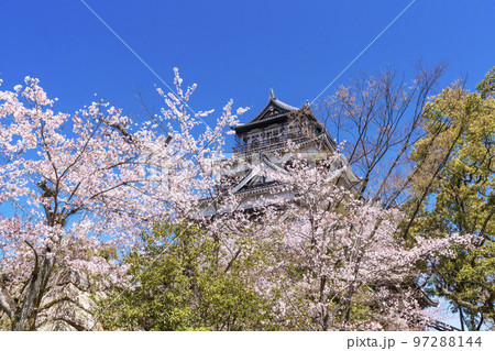 広島城と桜　広島の春の風景　広島観光名所　2023年G7サミット　 97288144