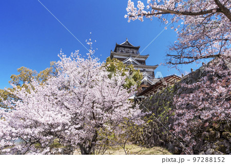 広島城と桜　広島の春の風景　広島観光名所　2023年G7サミット　 97288152