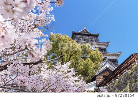 広島城と桜 広島の春の風景 広島観光名所 2023年G7サミット 広島城と桜 広島の春の風景 広島観光名所 2023年G7サミット 97288154