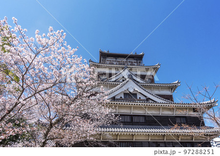 広島城と桜　広島の春の風景　広島観光名所　2023年G7サミット　 97288251