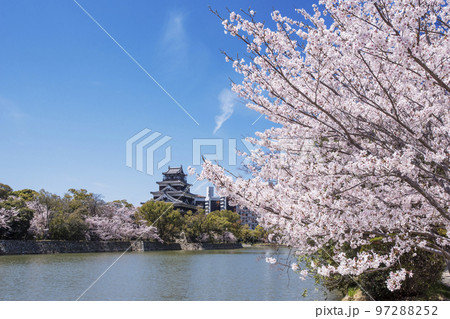 広島城と桜　広島の春の風景　広島観光名所　2023年G7サミット　 97288252