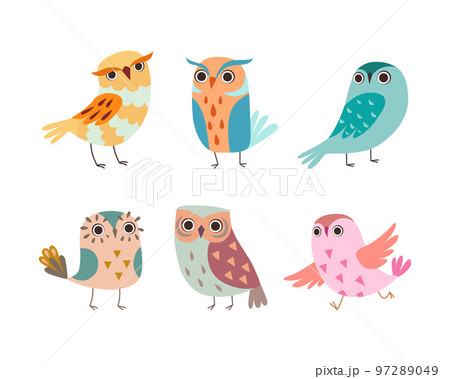 Cute Little Owl with Colorful Plumage as Woodland Nocturnal Bird Vector Set 97289049