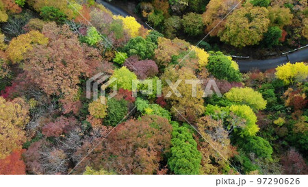 紅葉の絶景スポット 紅葉の絶景スポット 97290626