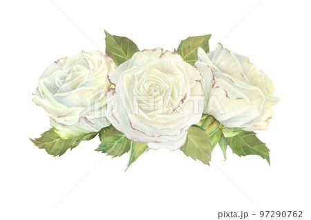Horizontal composition of three white roses. Watercolor illustration. Isolated on a white background.For design of sticker, dishes, greeting card, stationery, cosmetics packaging, wedding invitation Horizontal composition of three white roses. Watercolor illustration. Isolated on a white background.For design of sticker, dishes, greeting card, stationery, cosmetics packaging, wedding invitation 97290762