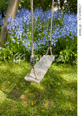 Fun garden swing for children to relax, enjoy and play on a weekend or break with common bluebell flowers growing in background. Homemade wood and rope playset in a home backyard or park playground Fun garden swing for children to relax, enjoy and play on a weekend or break with common bluebell flowers growing in background. Homemade wood and rope playset in a home backyard or park playground 97298927