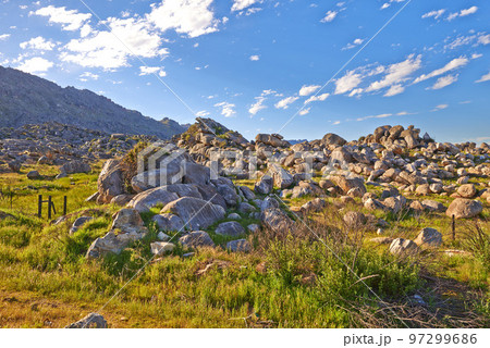 Rocks and boulders in an uncultivated, rough hiking terrain on Table Mountain, Cape Town, South Africa. Lush green bushes and shrubs growing among flora and plants in a quiet, overseas nature reserve 97299686
