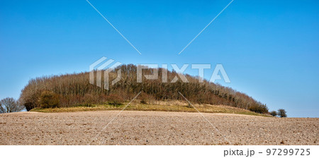 Trees on a sandy farm with blue sky copy space. Nature landscape of a dry bush tree branches growing near cultivated land in a sustainable environment, East Coast of Jutland, Denmark 97299725