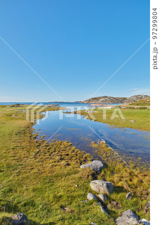 Landscape of river in lush green marsh land against a blue horizon with copy space. Calm swamp by the seaside in summer outside with wild grass growing in Norway. Peaceful and secluded scenic nature 97299804