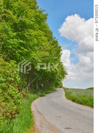 Road between trees and a meadow in spring with a cloudy blue sky. Countryside street or avenue winding through a beautiful empty forest green grass land. A scenic nature path for traveling or hiking 97300015