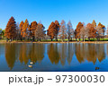 舎人公園の水辺のラクウショウの紅葉と湖面に映える景観 97300030