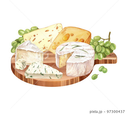 Cheeses with cutted pieces watercolor image and grape on wood board. Creamy cutted brie or camembert cheese illustration. French cuisine milk product. Tasty healthy cream organic snack isolated white 97300437