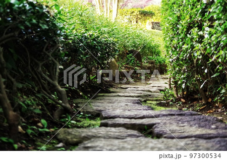 日本庭園の石畳小道 日本庭園の石畳小道 97300534