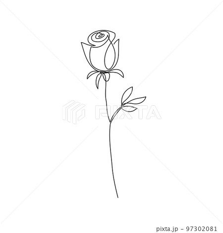 Outline rose flower logo. One continuous line art decorative rose draw. Editable stroke flower floral element. Isolated 97302081