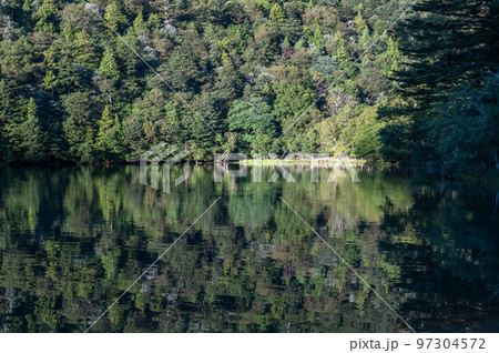 奥日光　湯ノ湖　静寂の朝 97304572