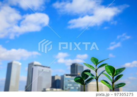 新芽と高層ビル 97305275