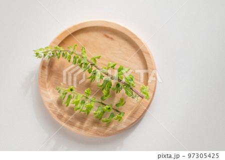 しその花穂 97305425