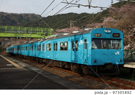 ［JR-R］阪和線103系と桜 97305892