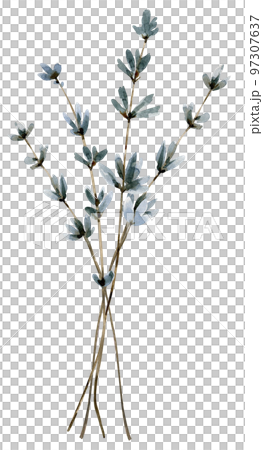 Bouquet with lilac lavender flowers watercolor illustration .  97307637
