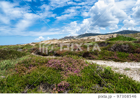 Praia do Trece Beach and section of the Lighthouse Trail, Camarinas, Galicia, Spain Praia do Trece Beach and section of the Lighthouse Trail, Camarinas, Galicia, Spain 97308546