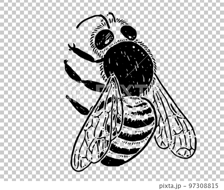 Bee line drawing illustration material 97308815