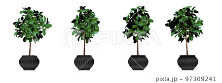 Realistic house plats set in pots on white background isolated 97309241