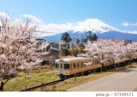 山梨県 春の桜並木と富士急行 そして富士山 山梨県 春の桜並木と富士急行 そして富士山 97309571