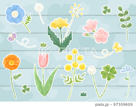 チューリップやタンポポ・桜などの春の花のイラストのセット 白フチ付きバージョン 97309609