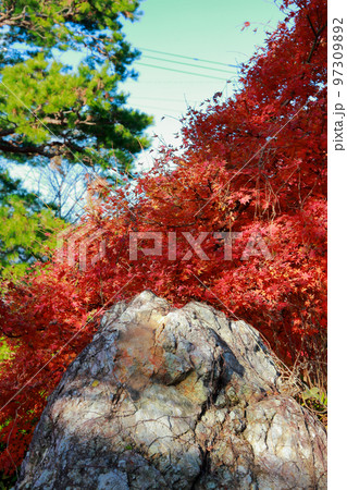 五台山の紅葉 97309892