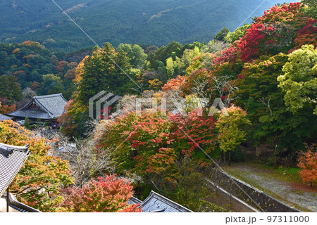 奈良の紅葉 長谷寺の紅葉 奈良の紅葉 長谷寺の紅葉 97311000