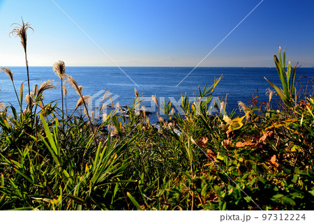 三浦半島　荒崎リアス式海岸の風景 97312224
