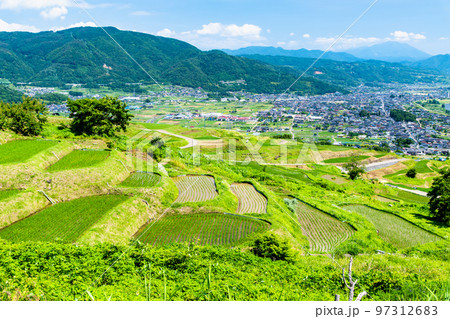 長野県　姨捨の棚田　～夏～ 97312683