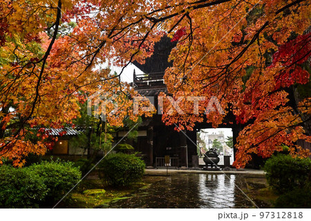 雨降る錦秋の天徳院 雨降る錦秋の天徳院 97312818