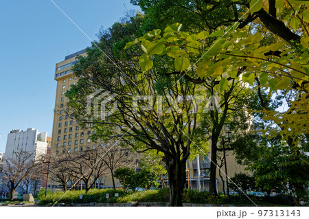 冬の都市公園 97313143