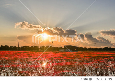 河北潟干拓地の夕景 97313149