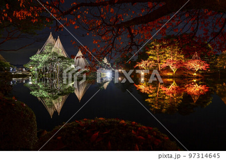 紅葉の兼六園ライトアップ 紅葉の兼六園ライトアップ 97314645