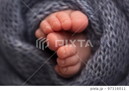 legs and toes of a newborn in a soft gray 97316011