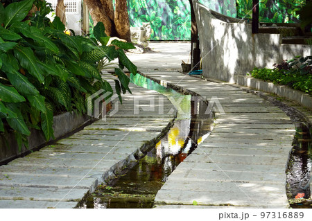 Design of landscaping in the garden, driveway, recreation area Design of landscaping in the garden, driveway, recreation area 97316889