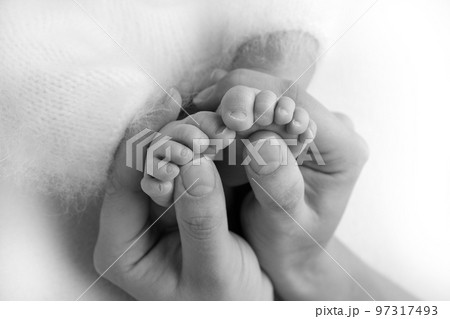 The palms of the father, the mother are holding the foot of the newborn baby.  97317493