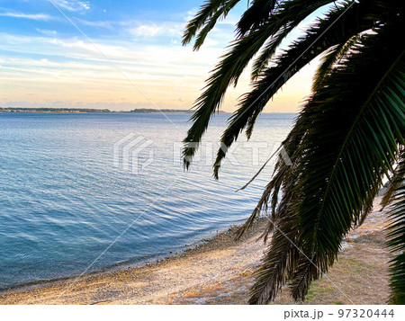日暮れの浜名湖の湖岸と椰子 97320444